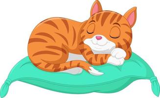 Cartoon the cat is sleeping on a pillow vector