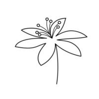 Hand drawn flower in line art doodle style. Botanical decorative element. vector