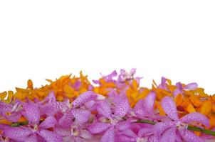 orquídeas frescas enmarcadas para el día de san valentín aisladas con fondo blanco. foto