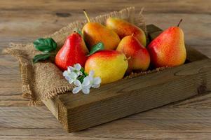 Still life with ripe pears in a wooden box photo