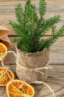 Christmas composition with spruce tree branches and garland made of dried slices of oranges on wooden background. Rustic style photo