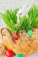 Easter basket with green grass filled with brightly colored Easter eggs and White little bunny. Happy Easter. photo