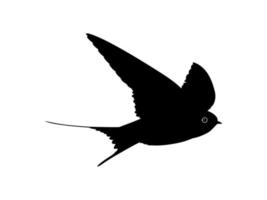 Pair of the Flying Swallow Bird Silhouette for Logo, Pictogram, Website. Art Illustration or Graphic Design Element. vector