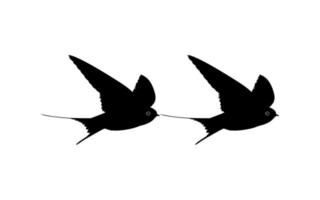 Pair of the Flying Swallow Bird Silhouette for Logo, Pictogram, Website. Art Illustration or Graphic Design Element. vector