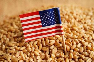 USA America on grain wheat, trade export and economy concept. photo