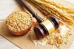 Juez martillo martillo con arroz de buen grano de granja agrícola. concepto de tribunal de derecho y justicia.