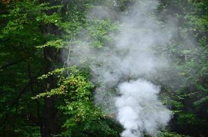 White smoke spreads over the background of forest trees photo