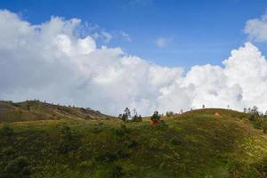 savanna view during the day photo