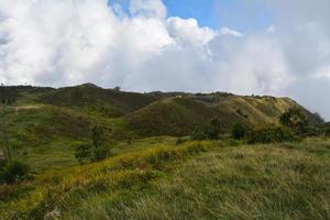 savanna view during the day photo