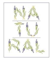 eslogan tipográfico con texto de flor de lavanda natural para la impresión de camisetas, bordado, diseño. camiseta gráfica e impresa vector