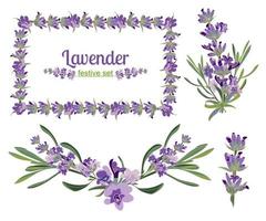 establecer marcos festivos y elementos con flores de lavanda para tarjetas de felicitación. ilustración botánica. vector