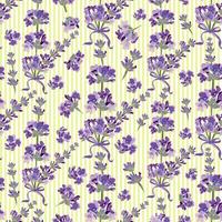 Seamless Lavender flowers background. Botanical illustration. vector