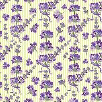 Seamless Lavender flowers background. Botanical illustration. vector