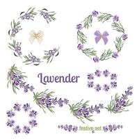 establecer marcos festivos y elementos con flores de lavanda para tarjetas de felicitación. ilustración botánica. vector