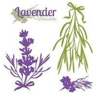 Set of silhouettes of lavender flowers vector