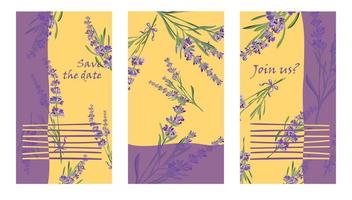 Set invitation cards with flower frame Lavender vector