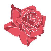 Beautiful hand drawn stencil rose, isolated on white background. Botanical silhouette of flower vector