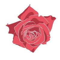 Beautiful hand drawn stencil rose, isolated on white background. Botanical silhouette of flower vector