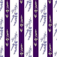 Seamless Lavender flowers background. Botanical illustration. vector