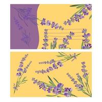 Set invitation cards with flower frame Lavender vector