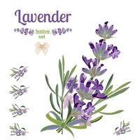 Set festive border and elements with Lavender flowers for greeting card. Botanical illustration. vector