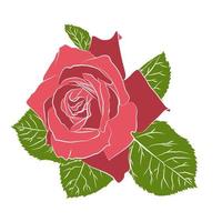 Beautiful hand drawn stencil rose, isolated on white background. Botanical silhouette of flower vector