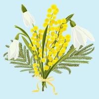 Spring floral background with beautiful snowdrops and mimosa flower vector