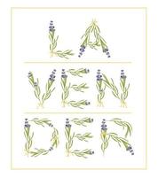 Typography slogan with lavender flower text Lavender for t shirt printing, embroidery, design. Graphic and printed tee vector