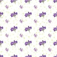 Seamless Lavender flowers background. Botanical illustration. vector