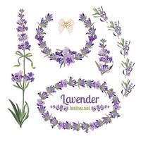 establecer marcos festivos y elementos con flores de lavanda para tarjetas de felicitación. ilustración botánica. vector