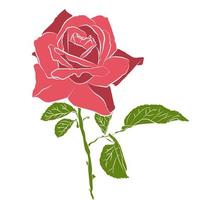 Beautiful hand drawn stencil rose, isolated on white background. Botanical silhouette of flower vector