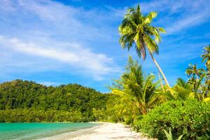 Beautiful tropical beach as summer seascape with palm tree and blue sky for travel in holiday relax time,on nature background photo