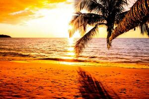 silueta de hermosa puesta de sol en la playa del mar con palmeras para viajar en tiempo de relajación de vacaciones, foto