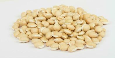 azuki beans on white photo