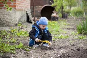 A child is planting a garden. A child's rake in his hands. A little gardener boy is planting plants in a flower bed. Gardening tools in the hands of a child. photo