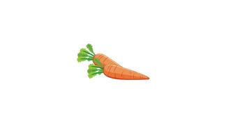 ilustración de vector fresco de zanahoria de pascua