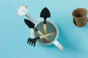 Tools for the garden on a blue background. Top view. Copy space. Flat lay photo