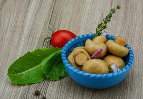 Pickled champignon in a bowl on wooden background photo