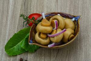 Pickled champignon in a bowl on wooden background photo