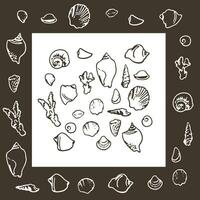 Hand drawn vector illustrations. Collection of shell. Perfect for invitations, fabric, textile, linens, posters, prints, banners