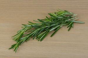 Rosemary on wooden background photo