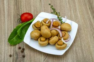 Pickled champignon on the plate and wooden background photo