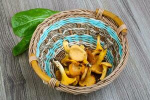 Chanterelle in a basket on wooden background photo