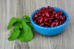 Kidney beans in a bowl on wooden background photo