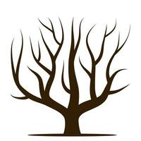 Tree without leaves. Vector illustration isolated on a white background