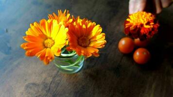 orange flowers on table, calendula and marigold video