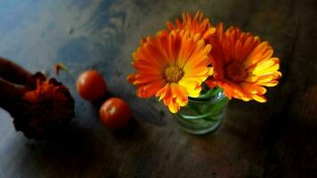 arancia fiori su tavolo, calendola e calendula video