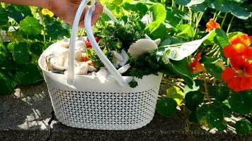 a basket of fresh harvest and flowers video