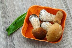 Wild Mushrooms in a bowl on wooden background photo