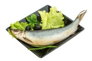 Salted Herring on the plate and white background photo